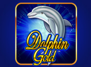 運動分析DOLPHINGOLD